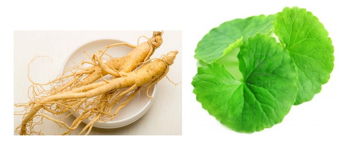 IASO chiết xuất từ nhiều nguồn nguyên liệu quý: nhân sâm, rau má, lô hội, vỏ cây dương liễu và nhiều thành phần quý khác….