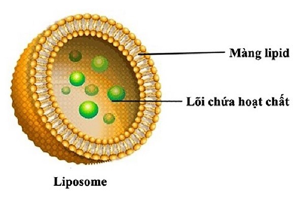 IASO sử dụng công nghệ mới là NANO LIPOSOME - Sự kết hợp giữa công nghệ nano và bao viêm các hoạt chất tại lõi bên trong