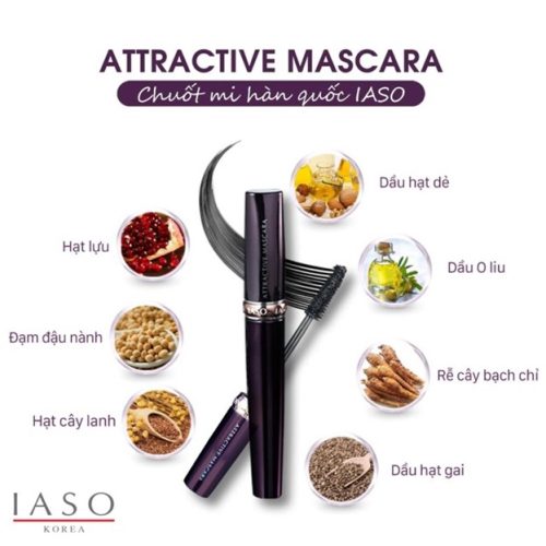 ĐÔI MI HOÀN HẢO CHO VẺ NGOÀI LÔI CUỐN