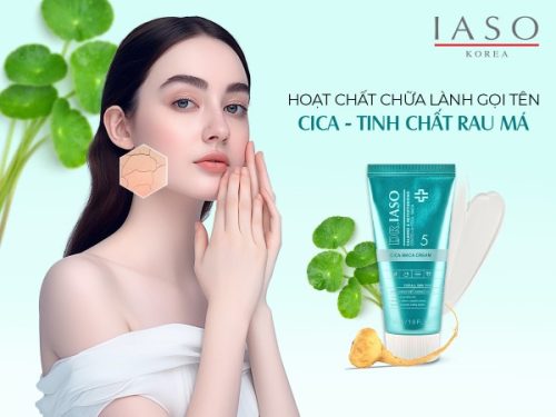 HOẠT CHẤT CHỮA LÀNH GỌI TÊN CICA – TINH CHẤT RAU MÁ