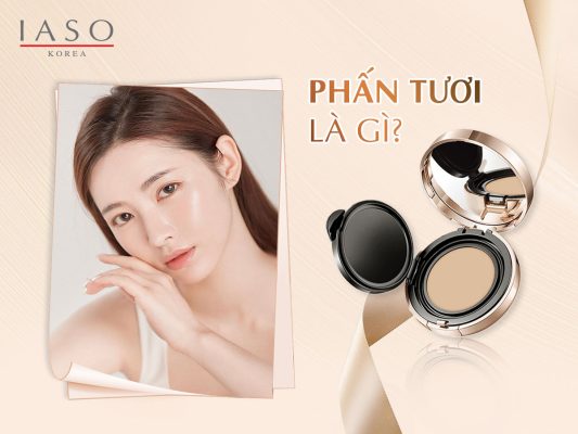 PHẤN TƯƠI LÀ GÌ?