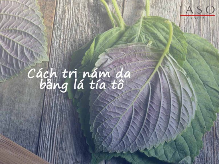 CÁCH TRỊ NÁM BẰNG LÁ TÍA TÔ