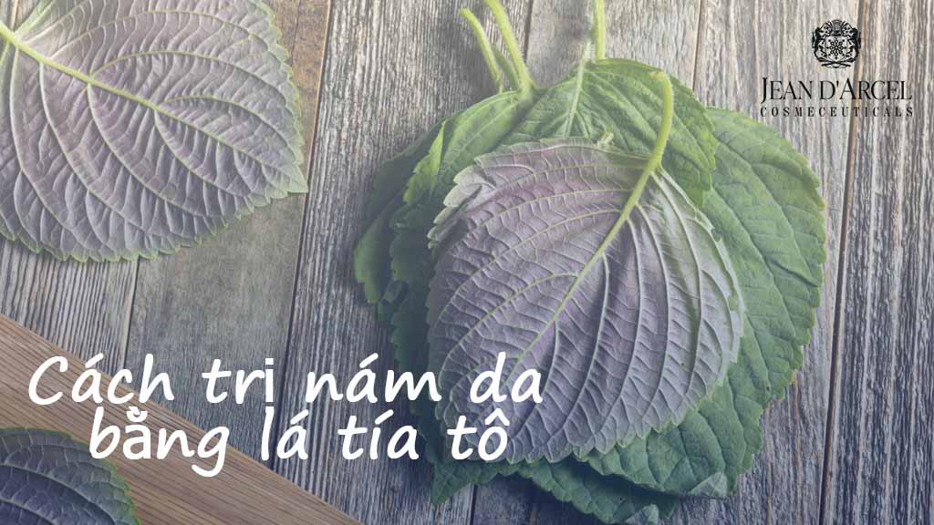 CÁCH TRỊ NÁM BẰNG LÁ TÍA TÔ